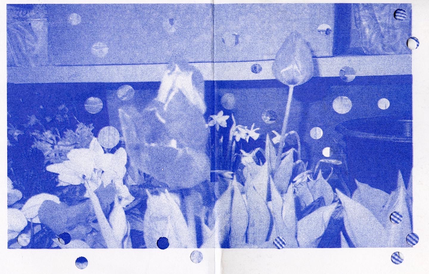 Riso Book